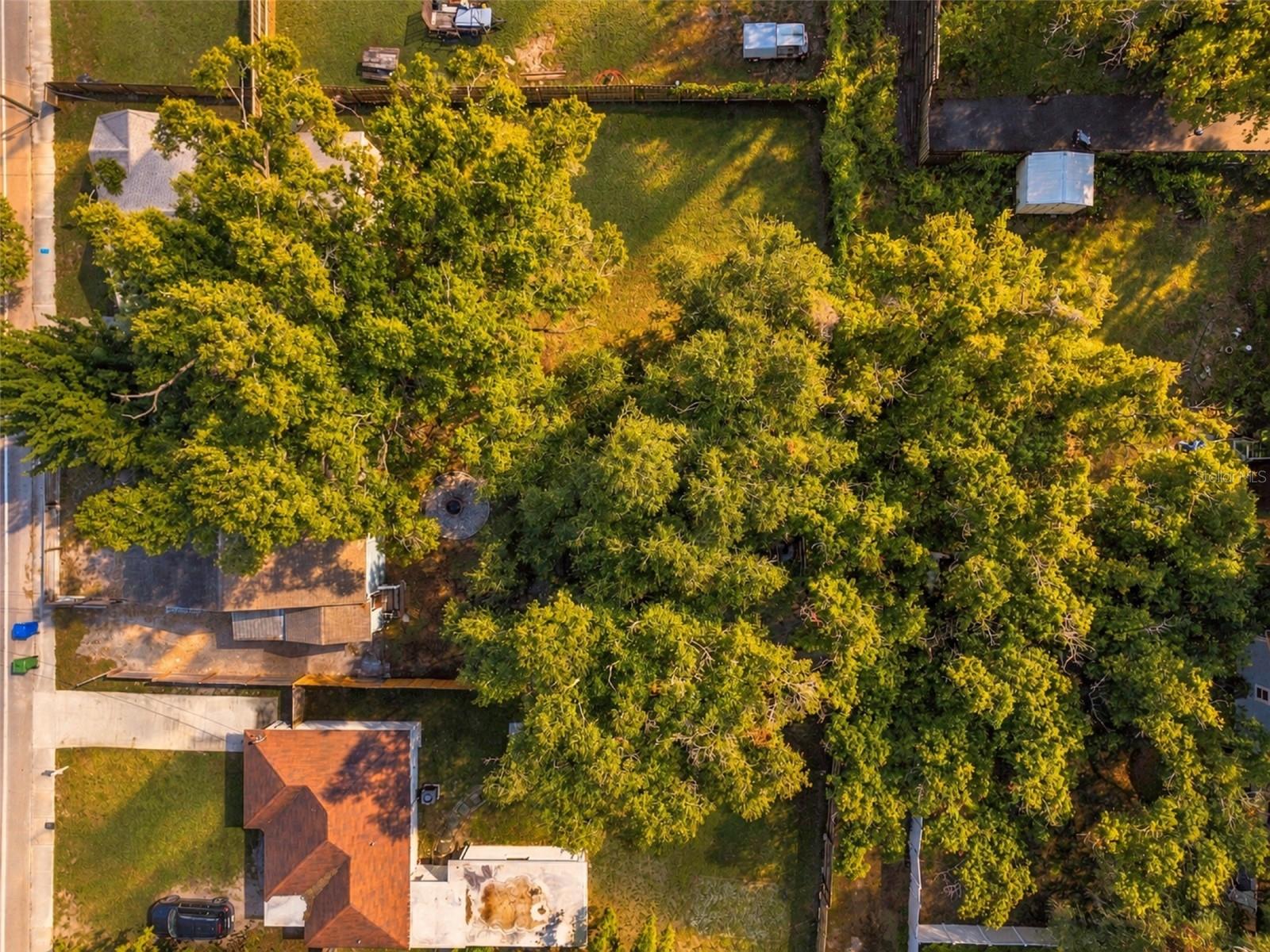 805 E OSBORNE AVENUE, Tampa, FL 33603