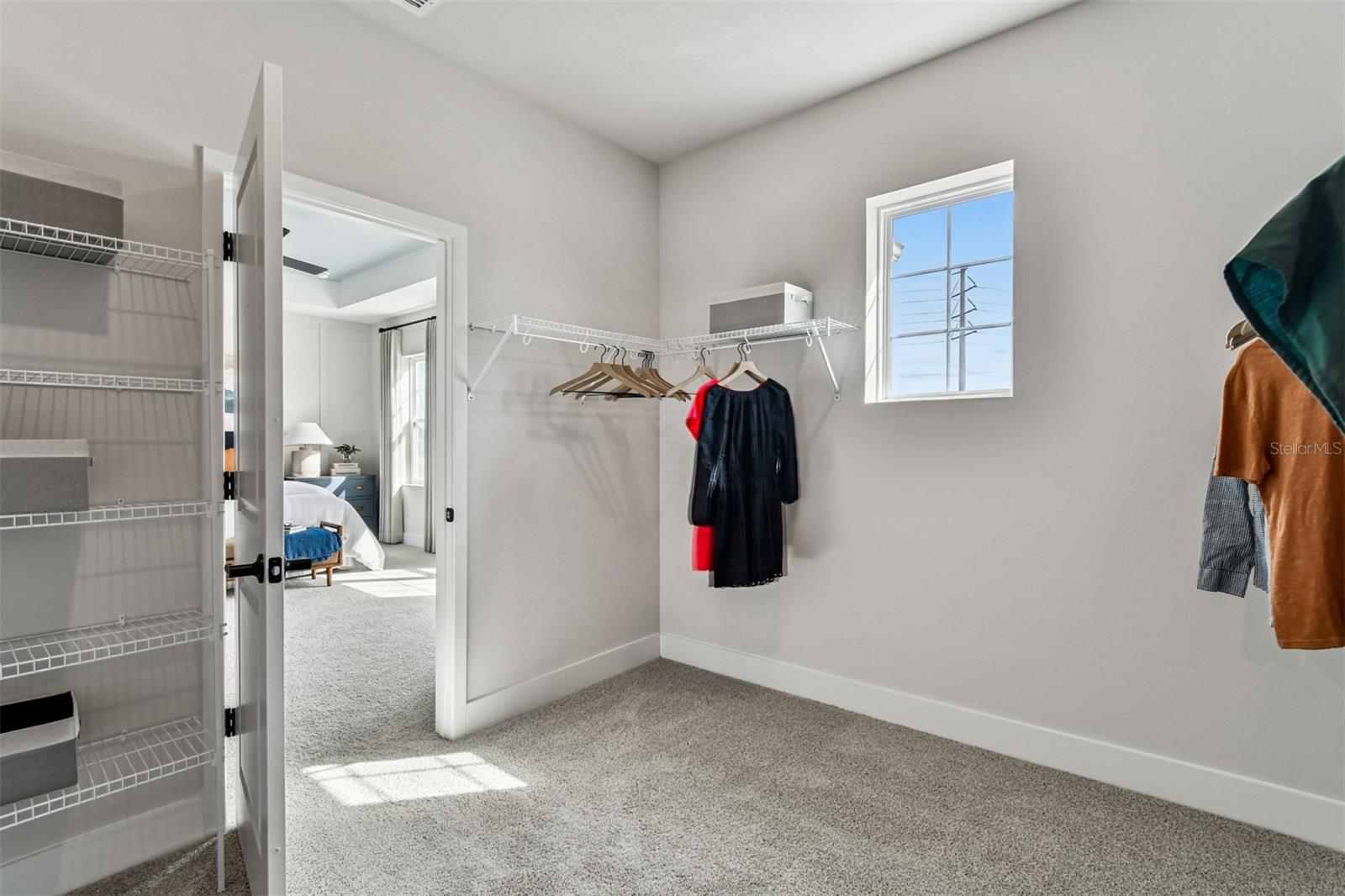 Owner's Closet