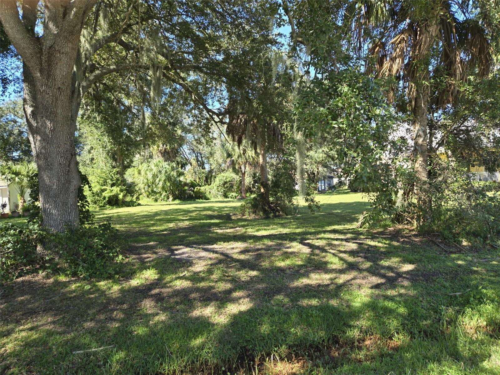 Nice Shaded trees