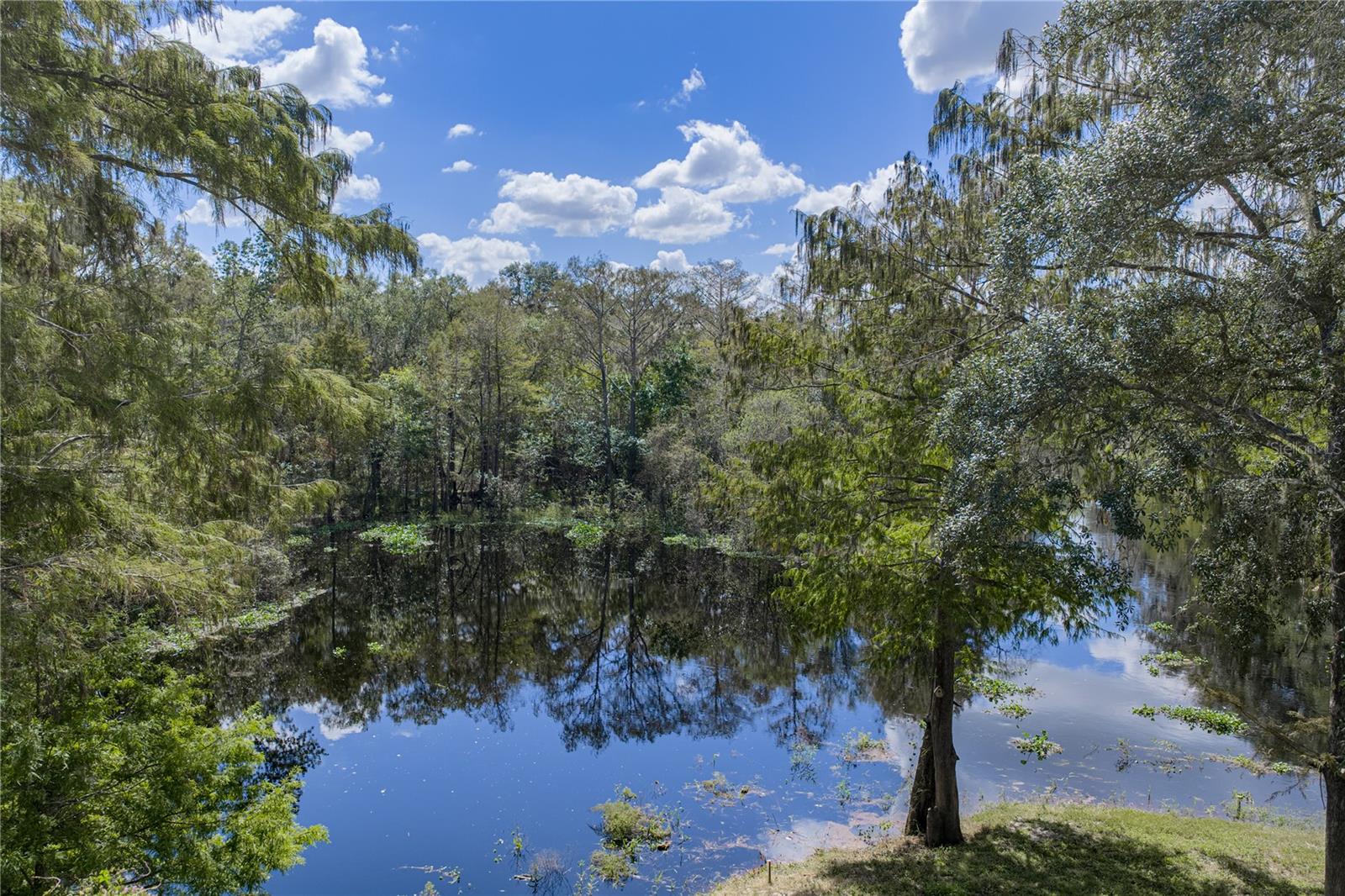 32444 MARCHMONT CIRCLE, Dade City, FL 33523