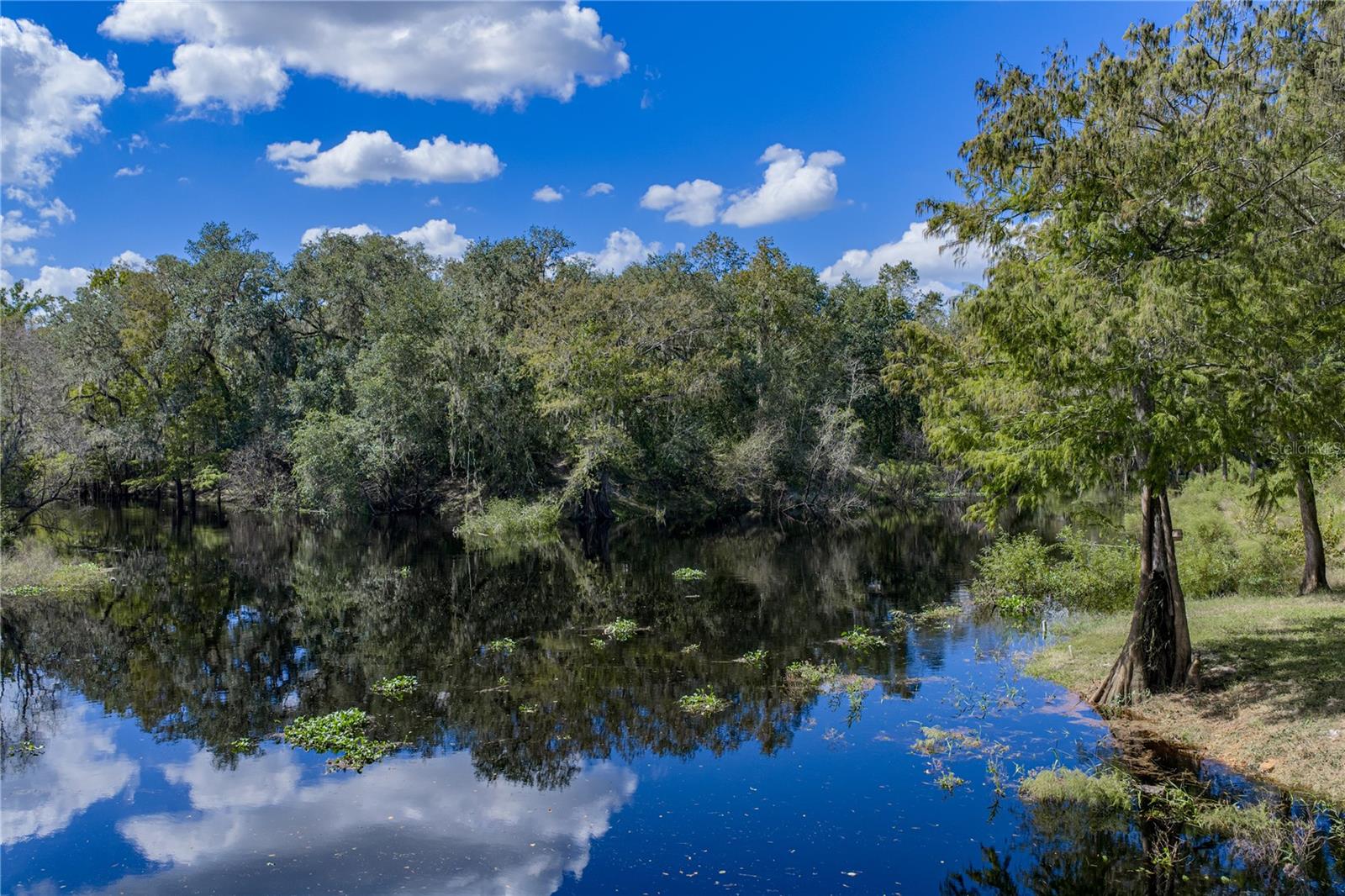 32444 MARCHMONT CIRCLE, Dade City, FL 33523