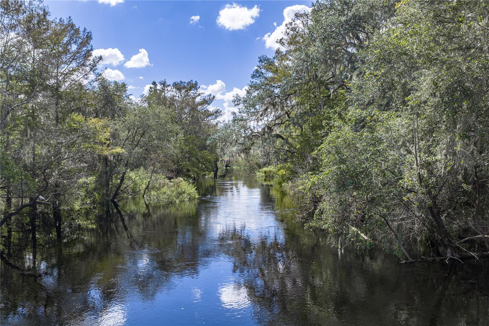 32444 MARCHMONT CIRCLE, Dade City, FL 33523