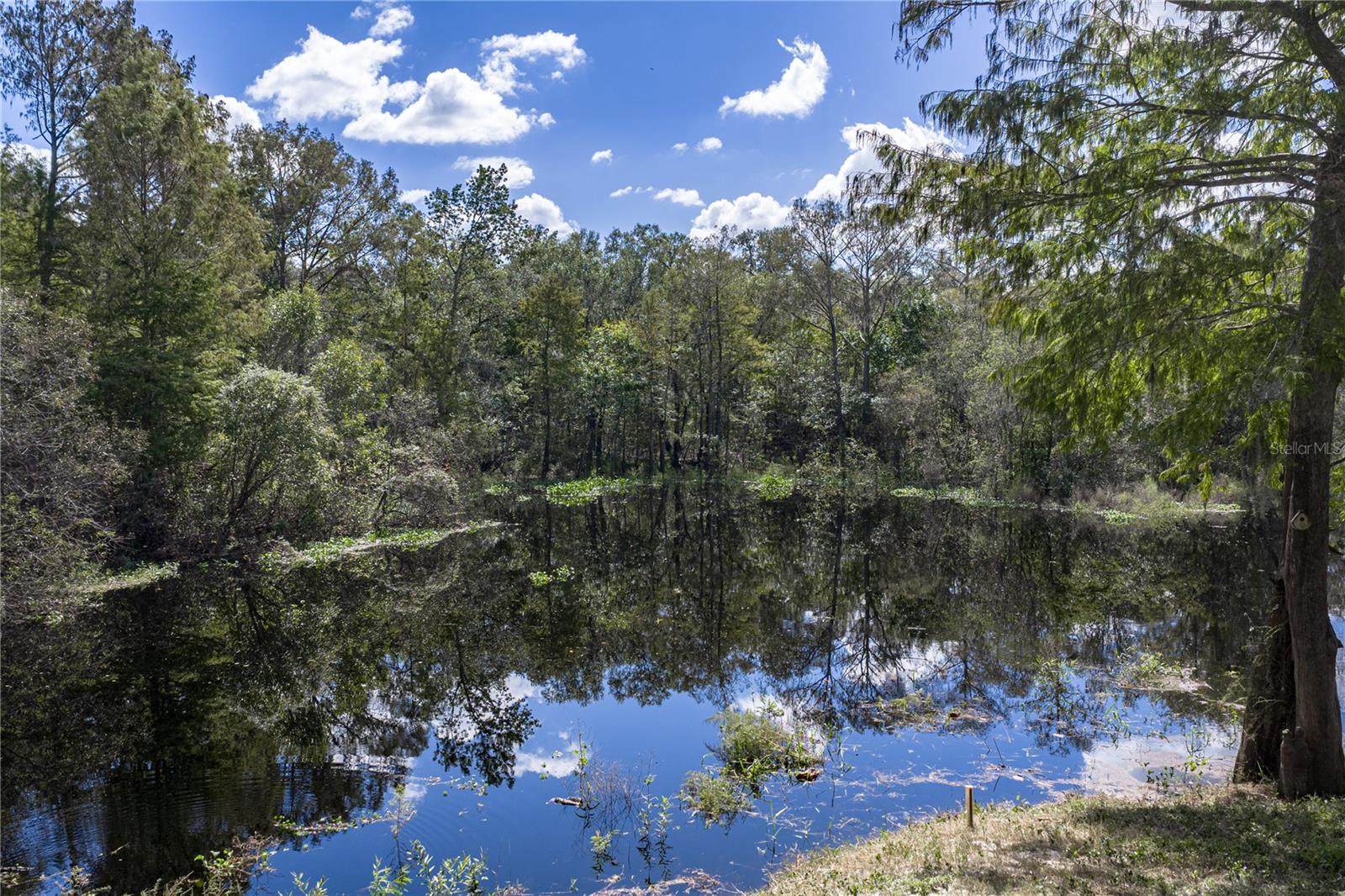 32444 MARCHMONT CIRCLE, Dade City, FL 33523