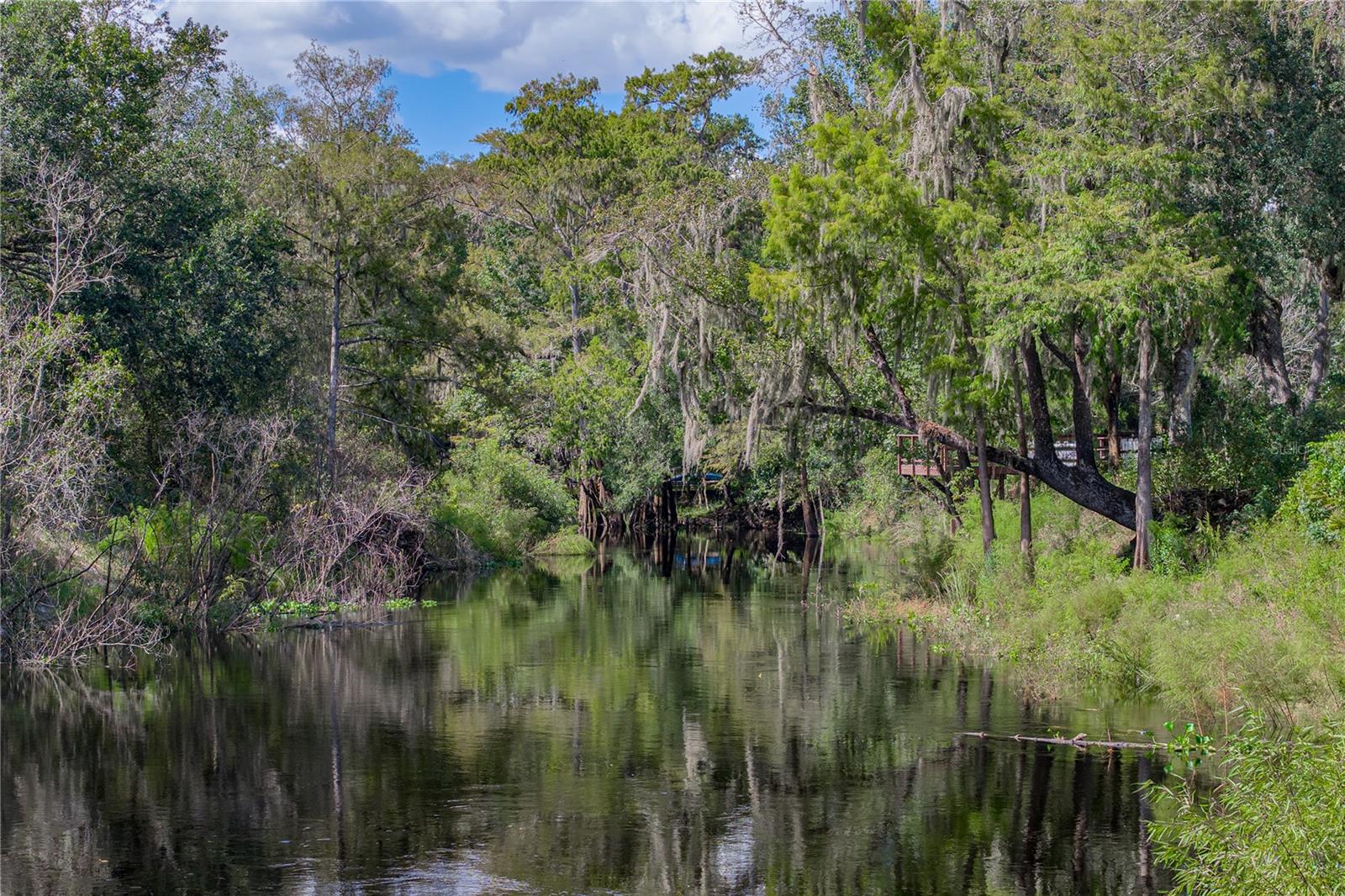 32444 MARCHMONT CIRCLE, Dade City, FL 33523