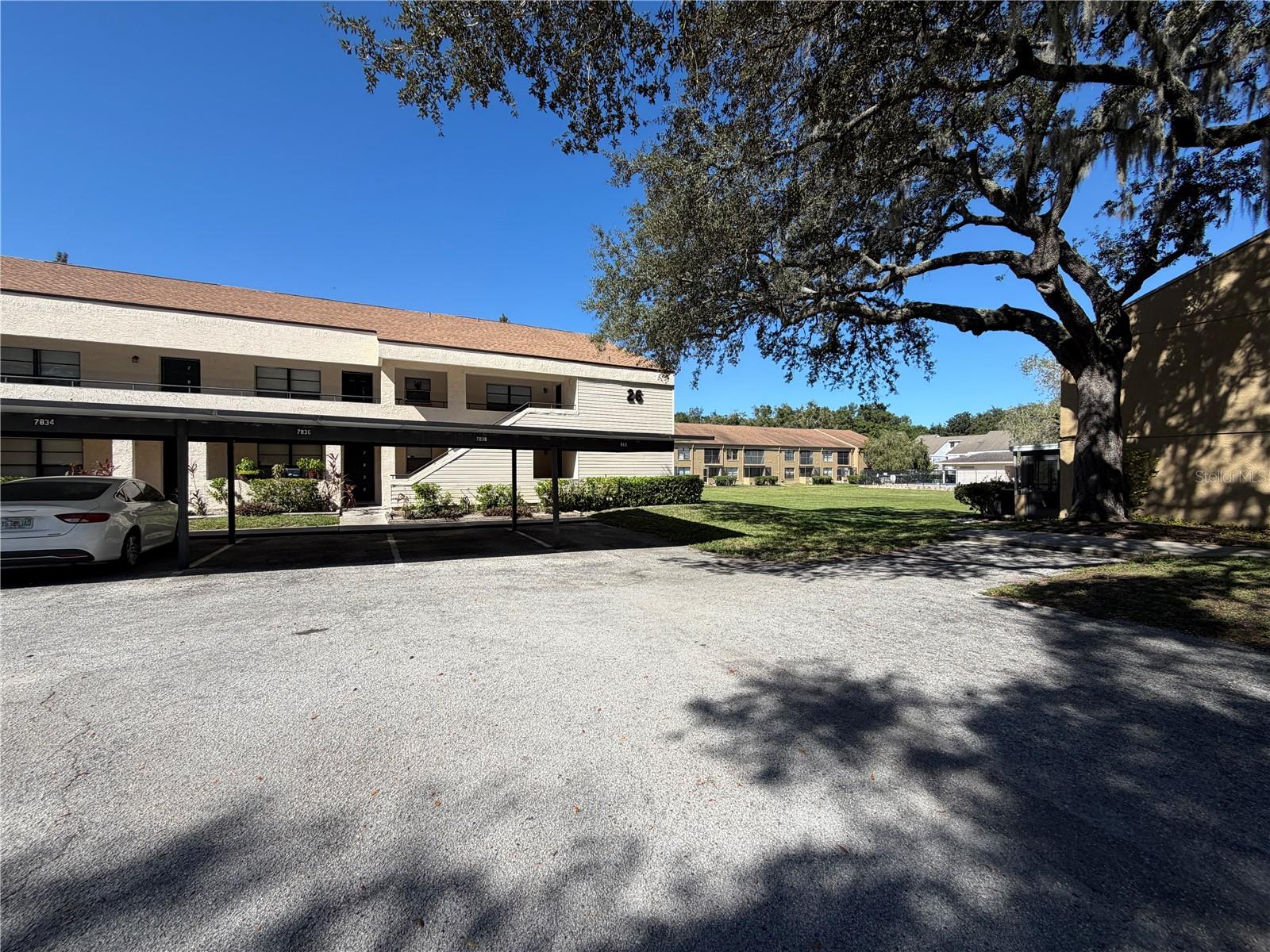 7840 NIAGARA AVENUE, #325, Tampa, FL 33617
