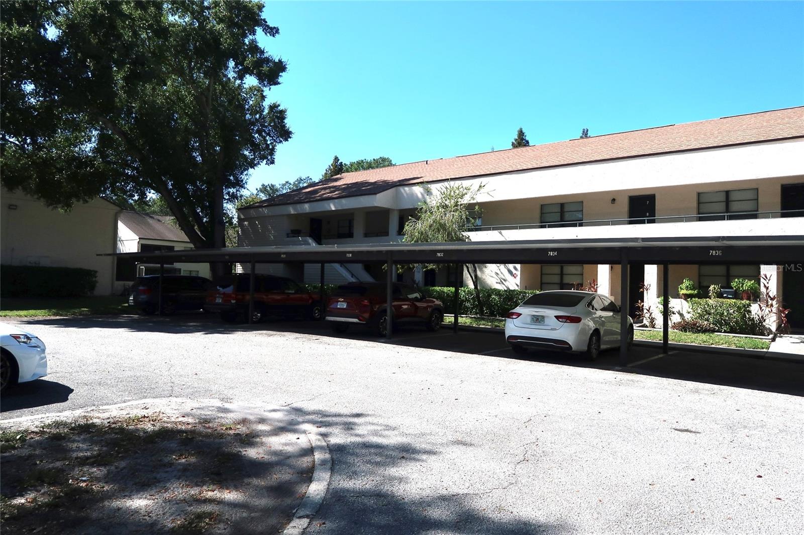 7840 NIAGARA AVENUE, #325, Tampa, FL 33617