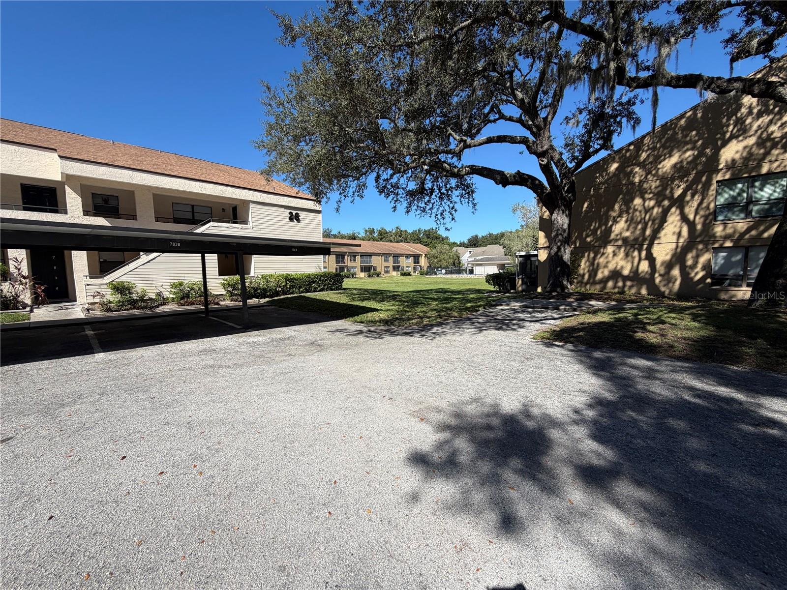 7840 NIAGARA AVENUE, #325, Tampa, FL 33617