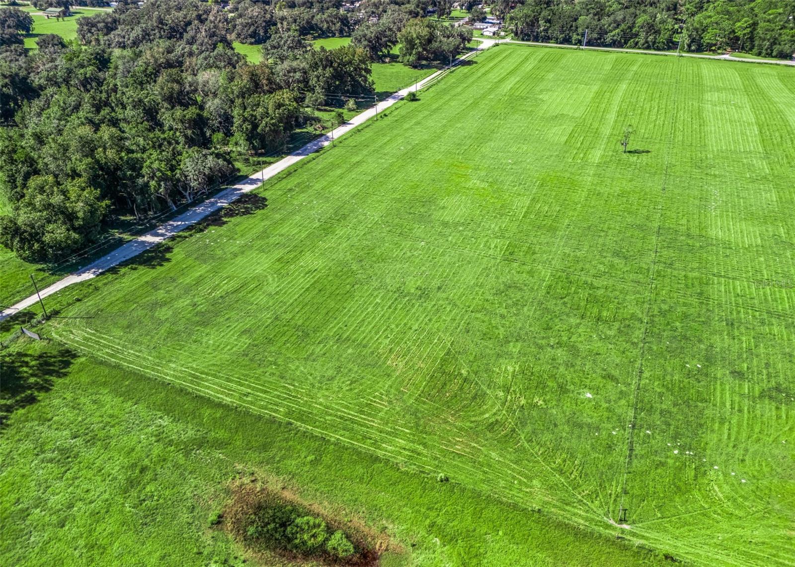 CR 575, Bushnell, FL 33513