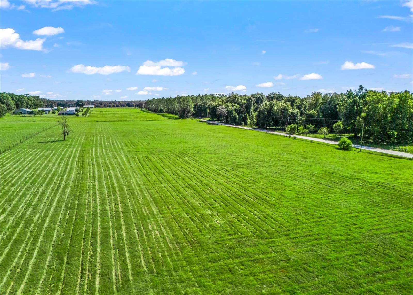 CR 575, Bushnell, FL 33513