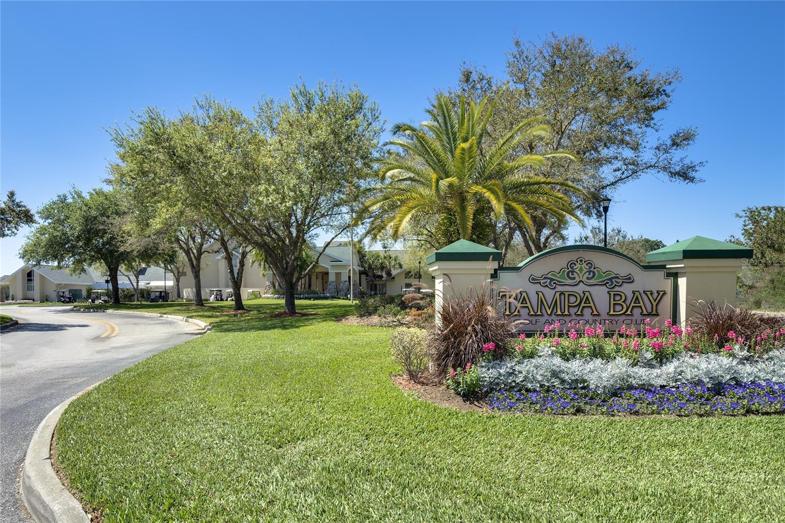 29145 GRASS BUNKER DRIVE, San Antonio, FL 33576