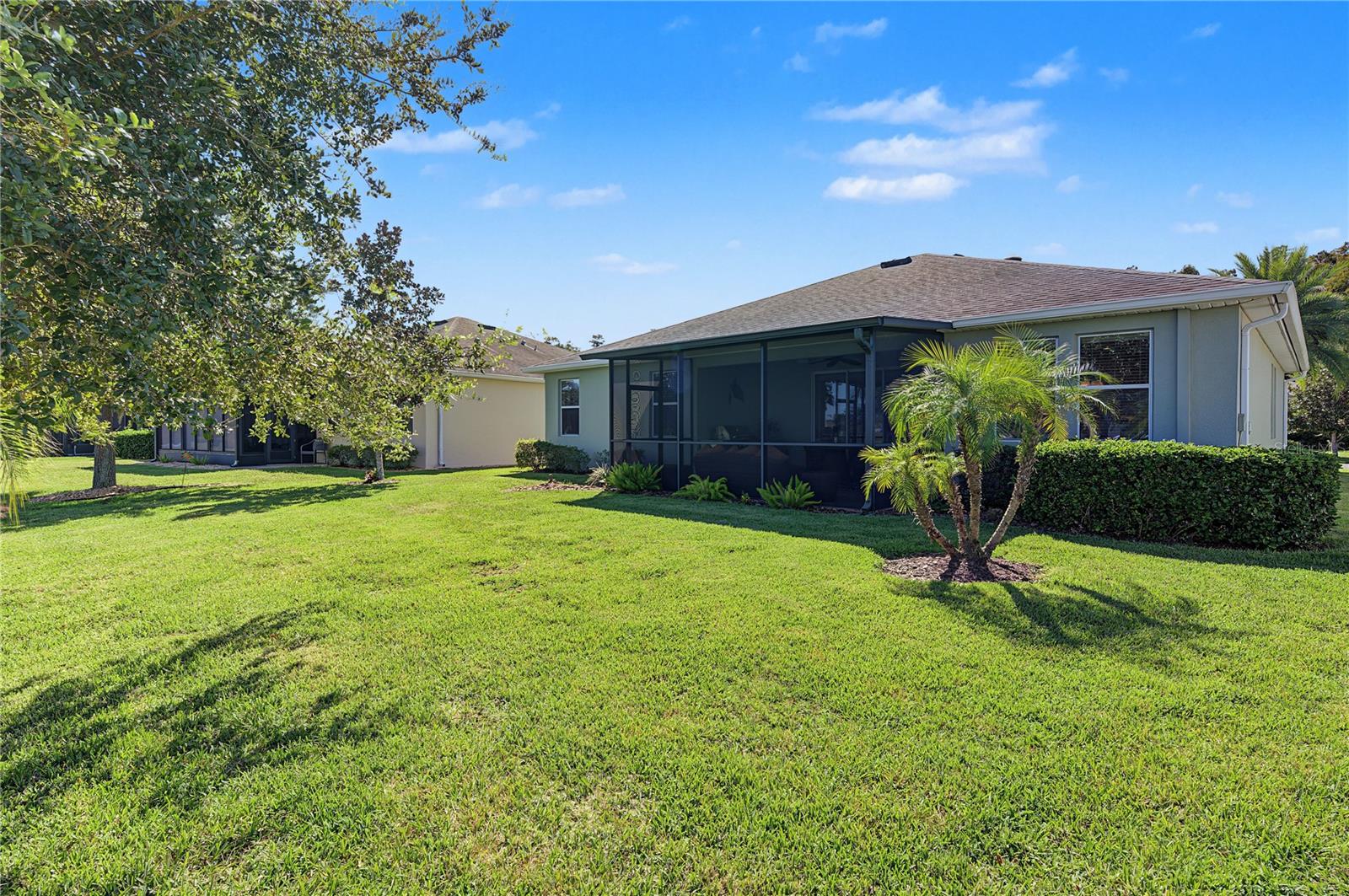Lush green lawn in backyard