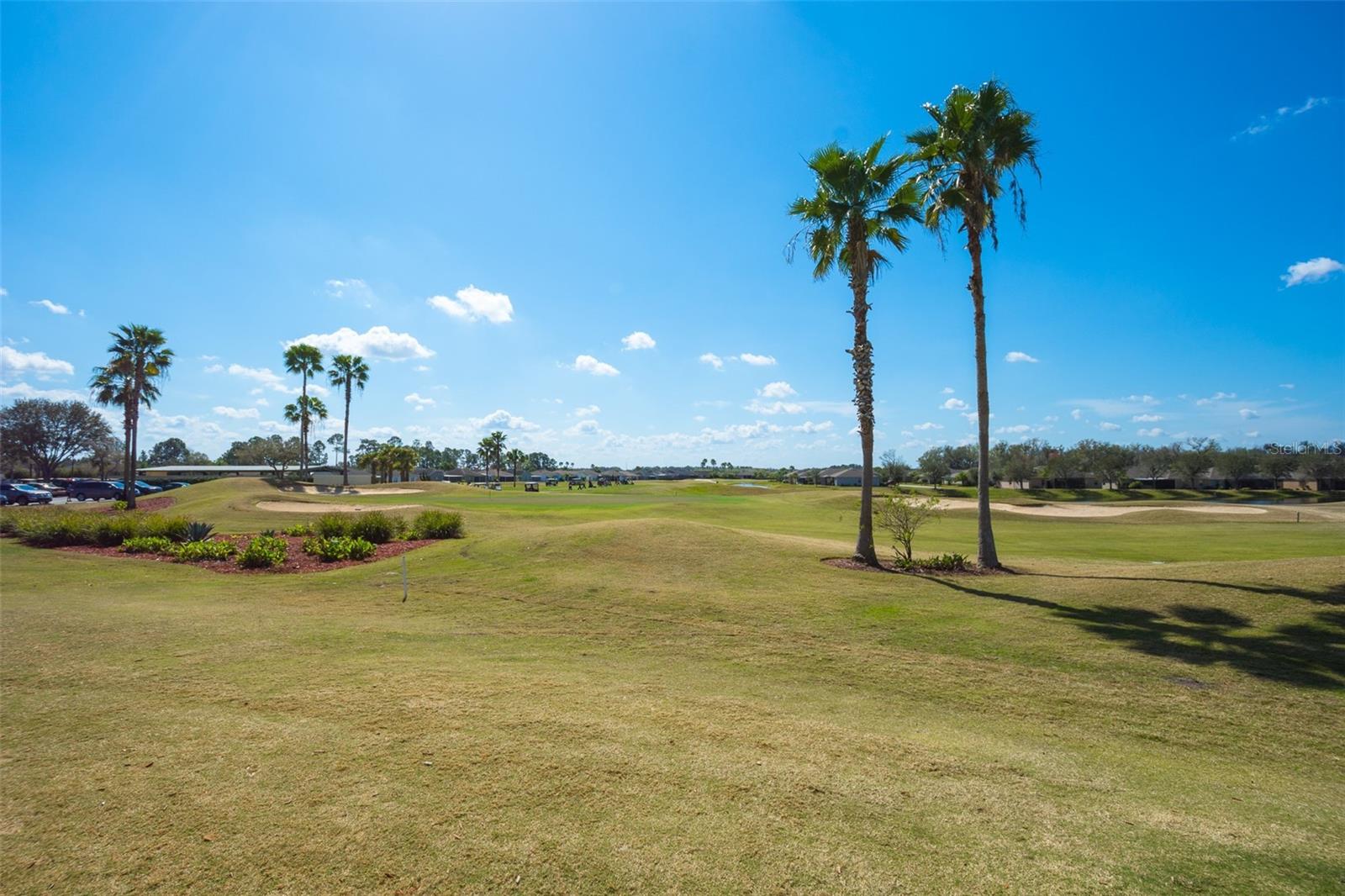 29145 GRASS BUNKER DRIVE, San Antonio, FL 33576