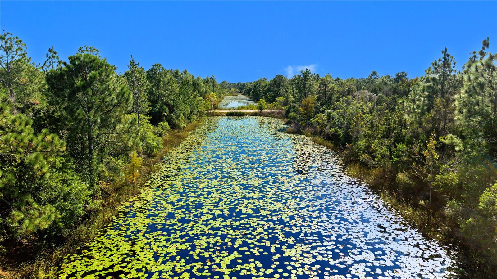 18182 RAPIDAN ROAD, Weeki Wachee, FL 34614 18182 RAPIDAN ROAD, Weeki Wachee, FL 34614