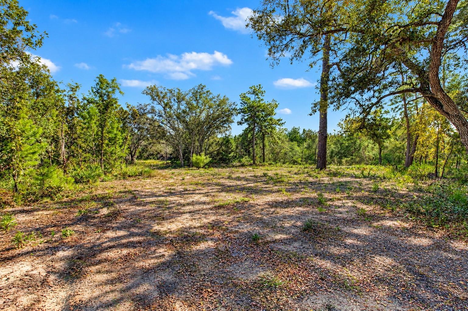 18182 RAPIDAN ROAD, Weeki Wachee, FL 34614