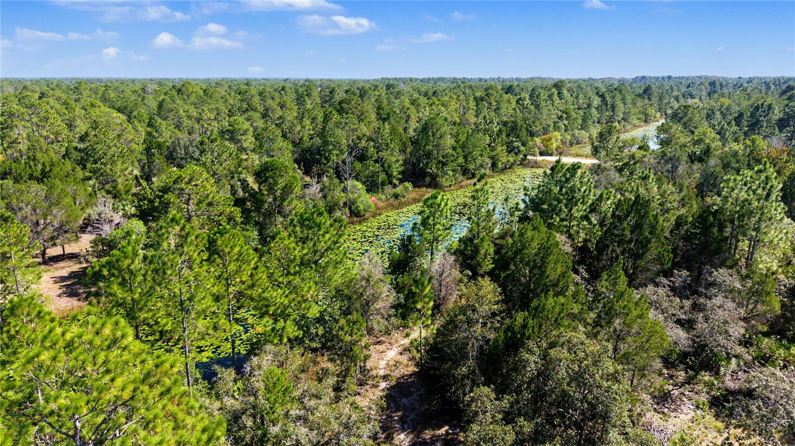 18182 RAPIDAN ROAD, Weeki Wachee, FL 34614