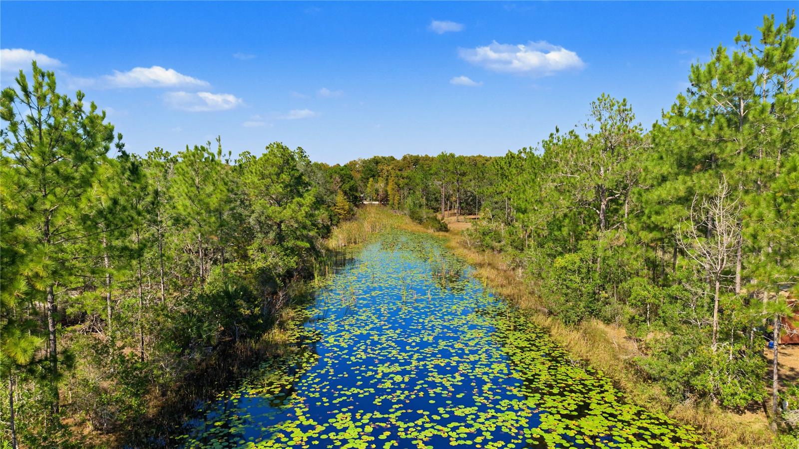 18182 RAPIDAN ROAD, Weeki Wachee, FL 34614 18182 RAPIDAN ROAD, Weeki Wachee, FL 34614