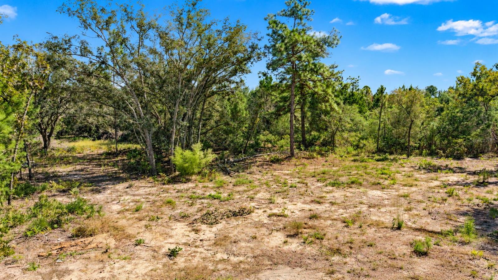 18182 RAPIDAN ROAD, Weeki Wachee, FL 34614