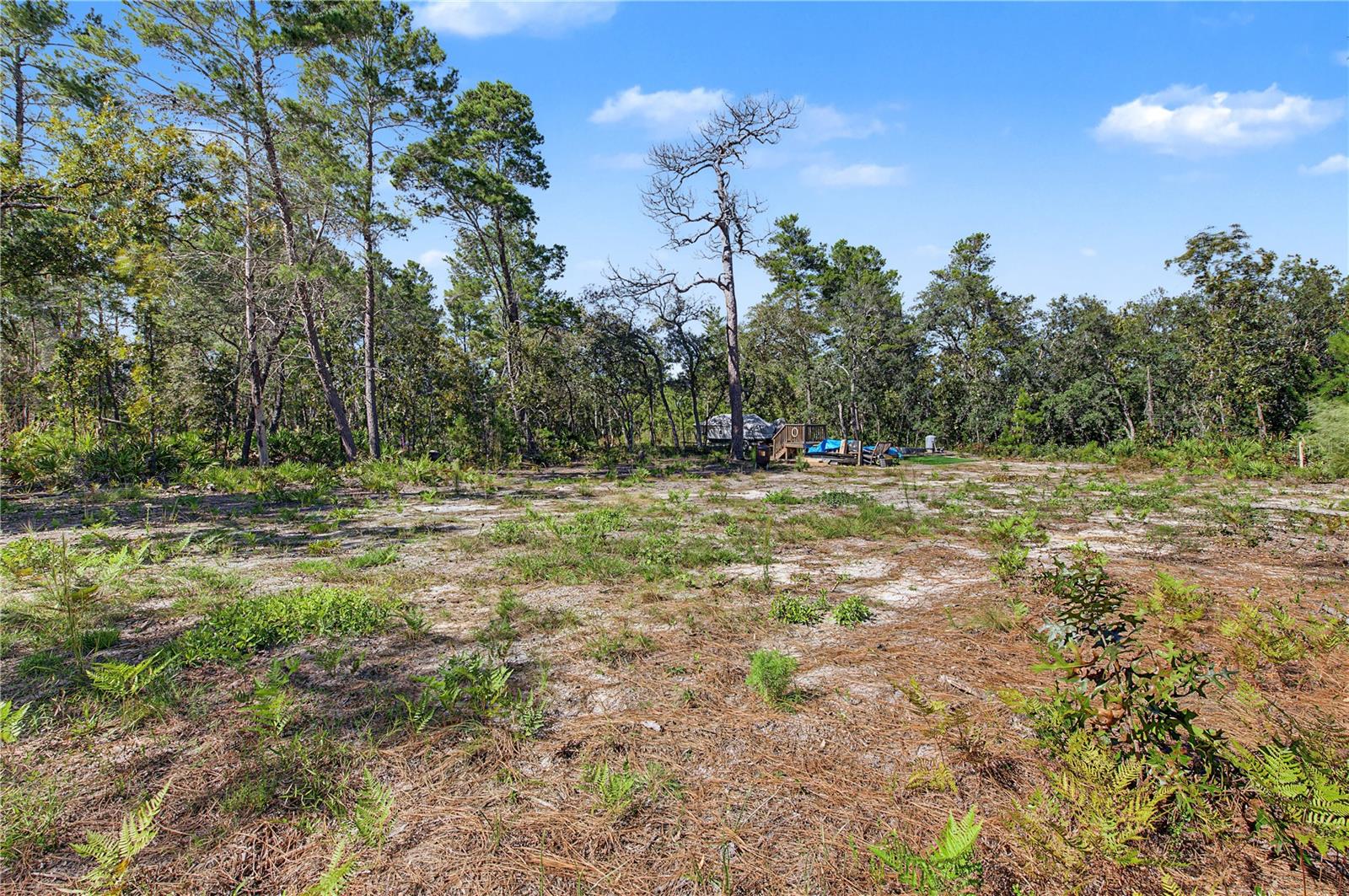 18182 RAPIDAN ROAD, Weeki Wachee, FL 34614 18182 RAPIDAN ROAD, Weeki Wachee, FL 34614
