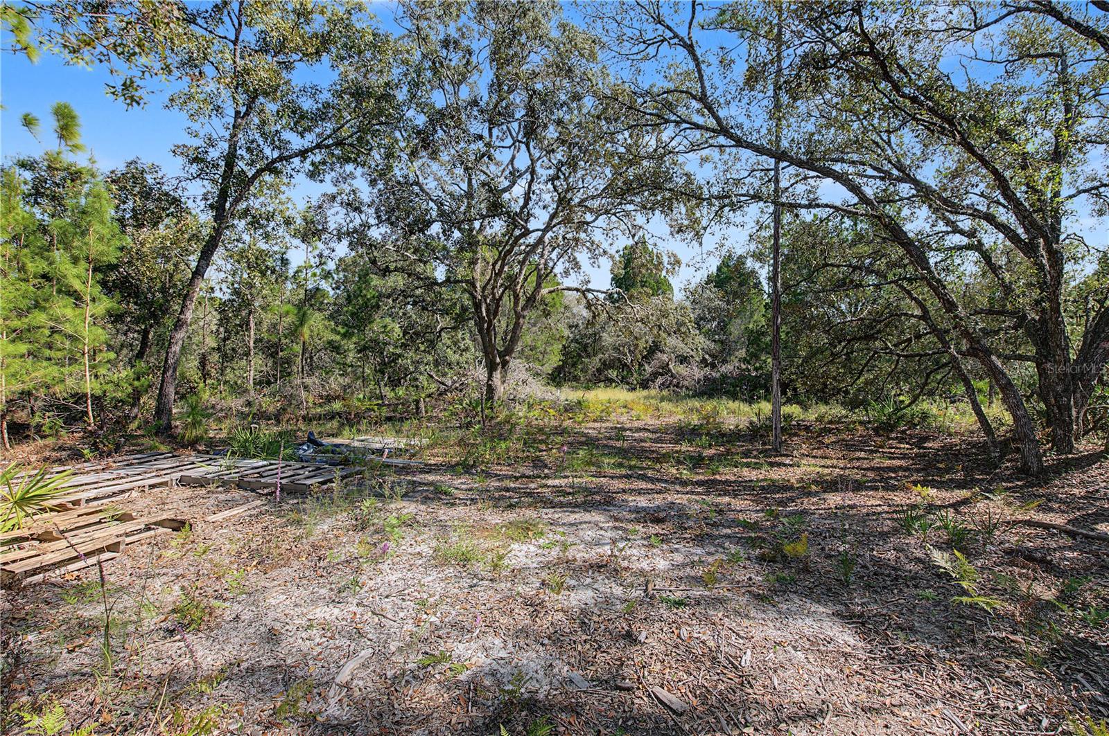 18182 RAPIDAN ROAD, Weeki Wachee, FL 34614
