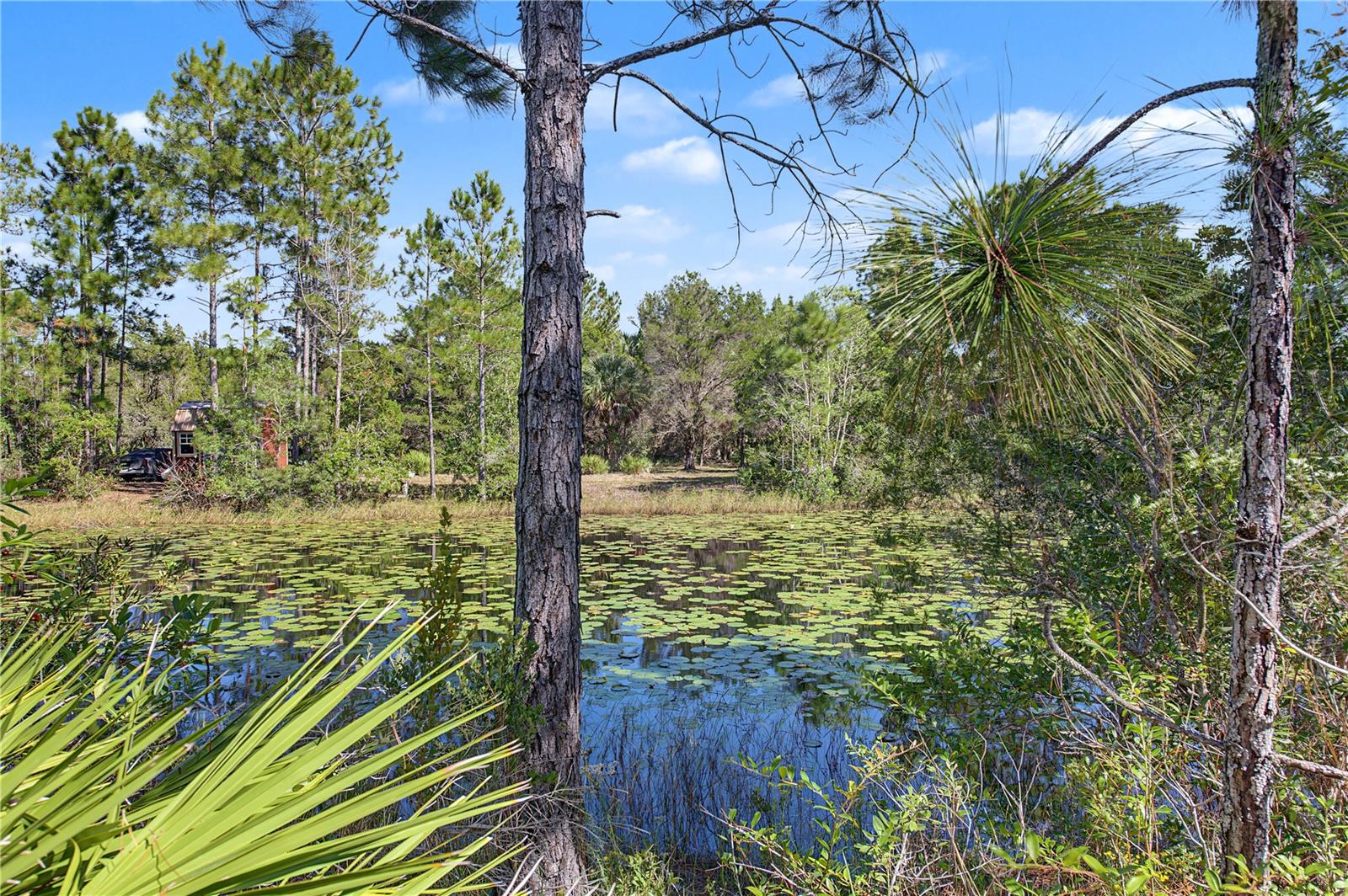 18182 RAPIDAN ROAD, Weeki Wachee, FL 34614 18182 RAPIDAN ROAD, Weeki Wachee, FL 34614