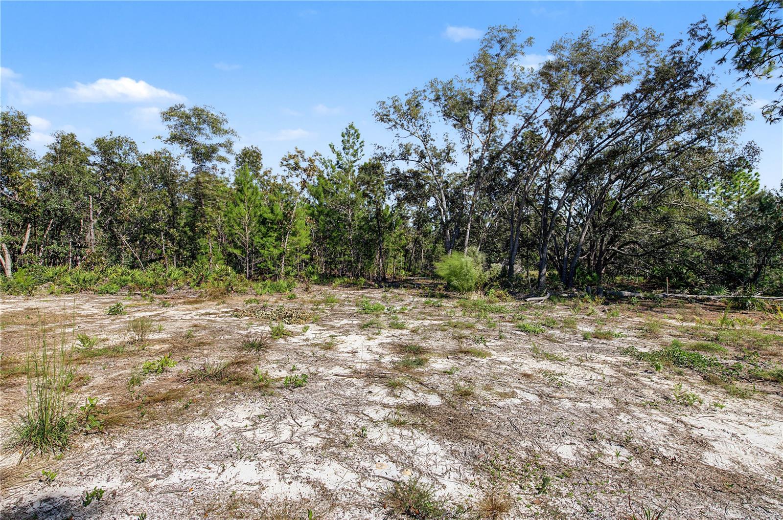 18182 RAPIDAN ROAD, Weeki Wachee, FL 34614