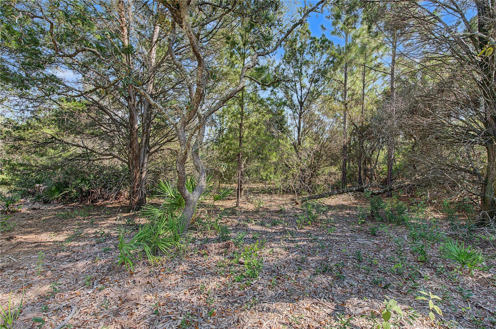 18182 RAPIDAN ROAD, Weeki Wachee, FL 34614