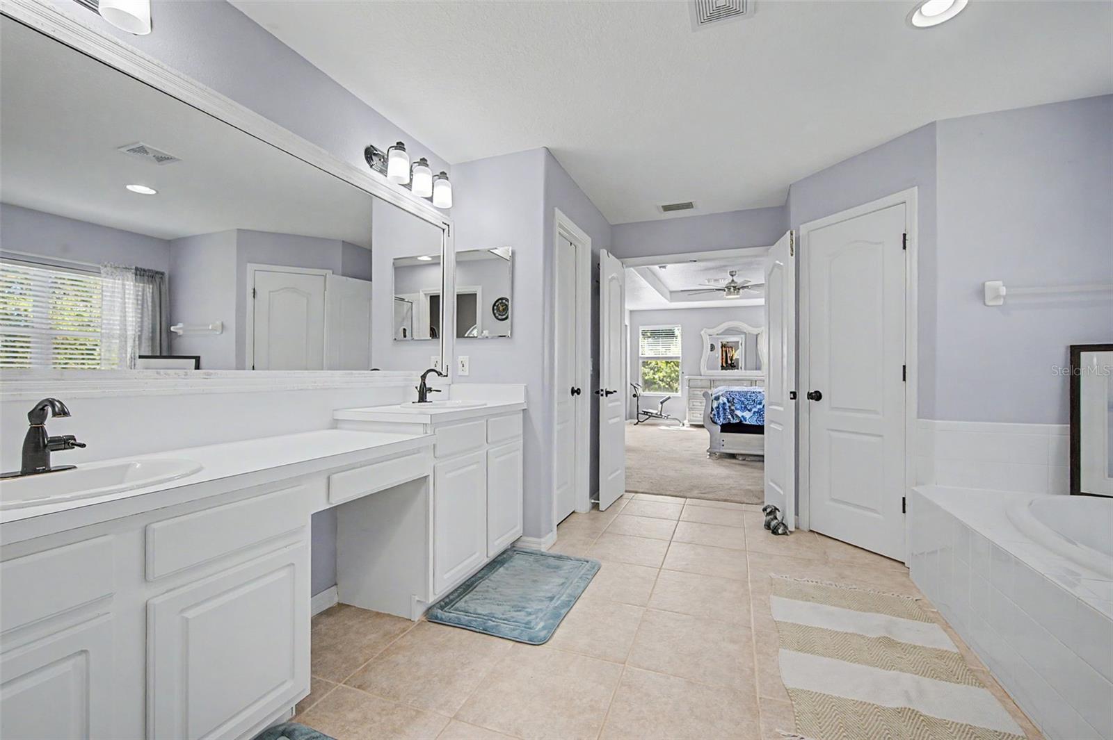 19266 FISHERMANS BEND DRIVE, Lutz, FL 33558