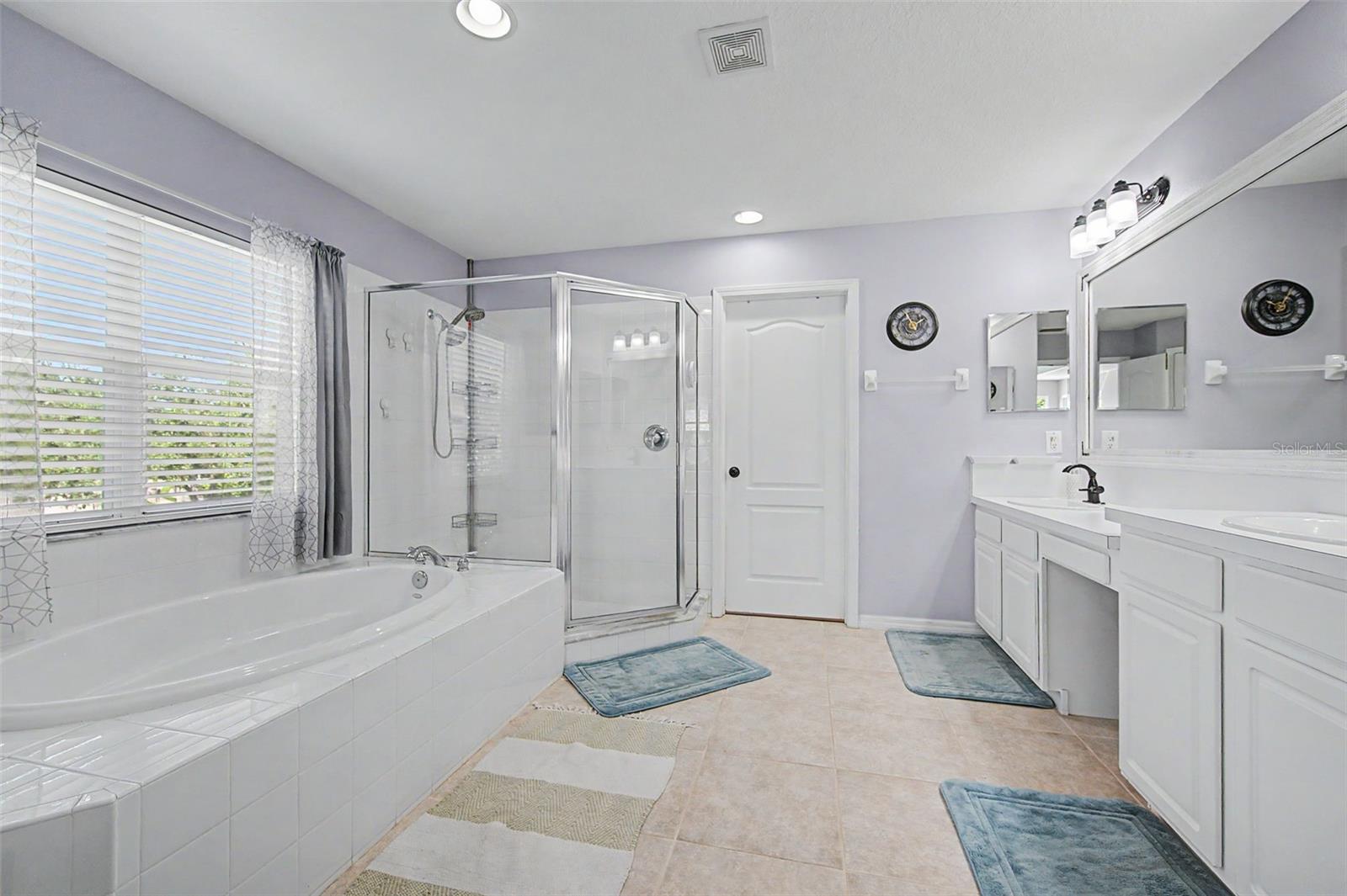 19266 FISHERMANS BEND DRIVE, Lutz, FL 33558