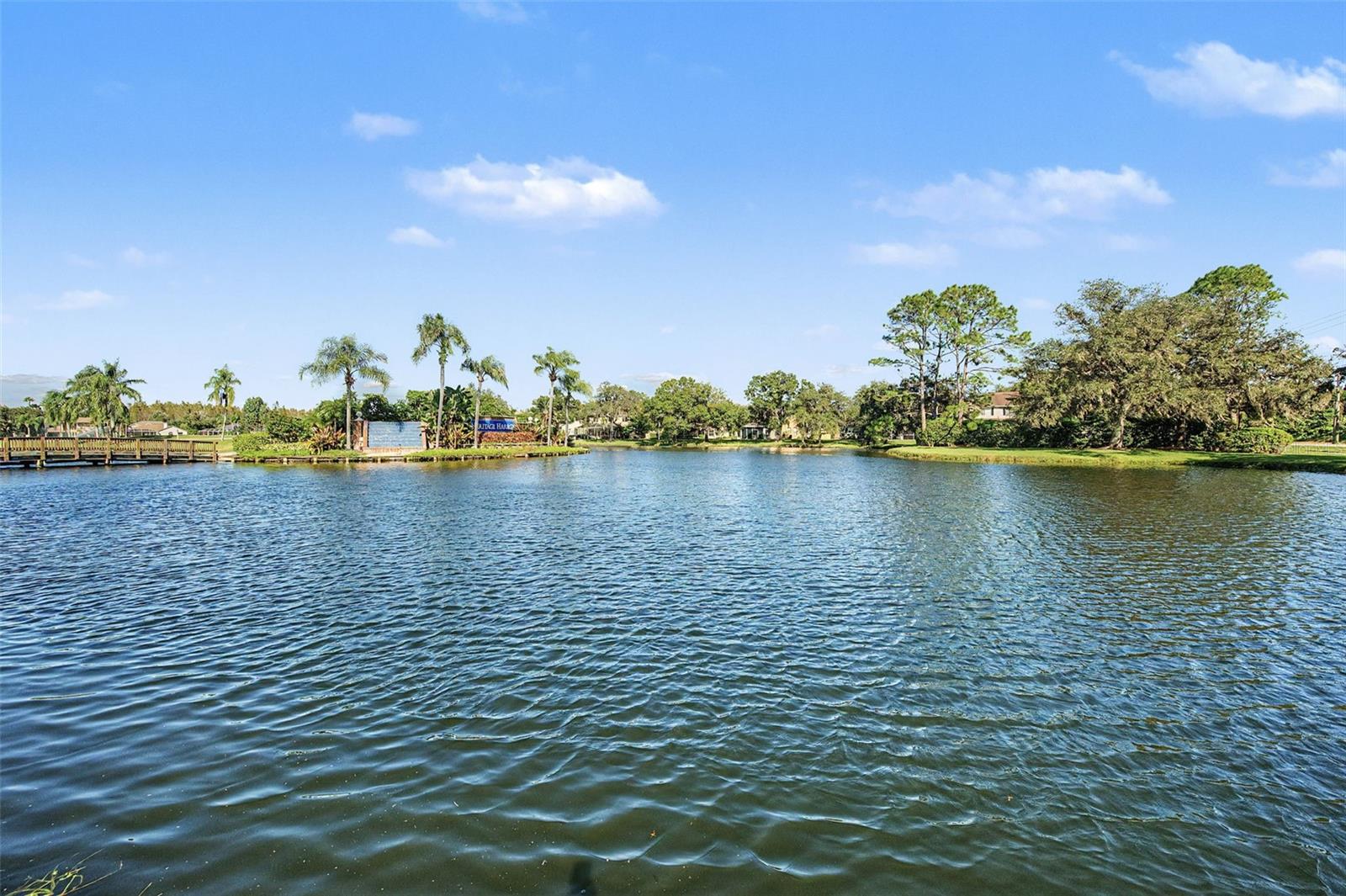 19266 FISHERMANS BEND DRIVE, Lutz, FL 33558