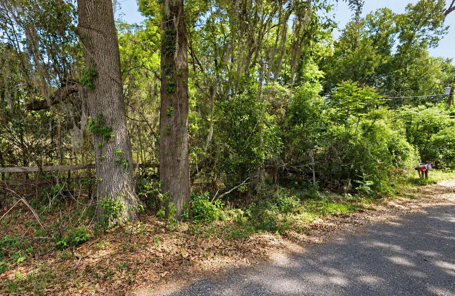 NE 175TH STREET, Citra, FL 32113