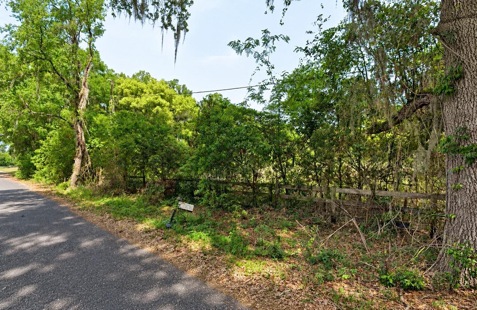 NE 175TH STREET, Citra, FL 32113