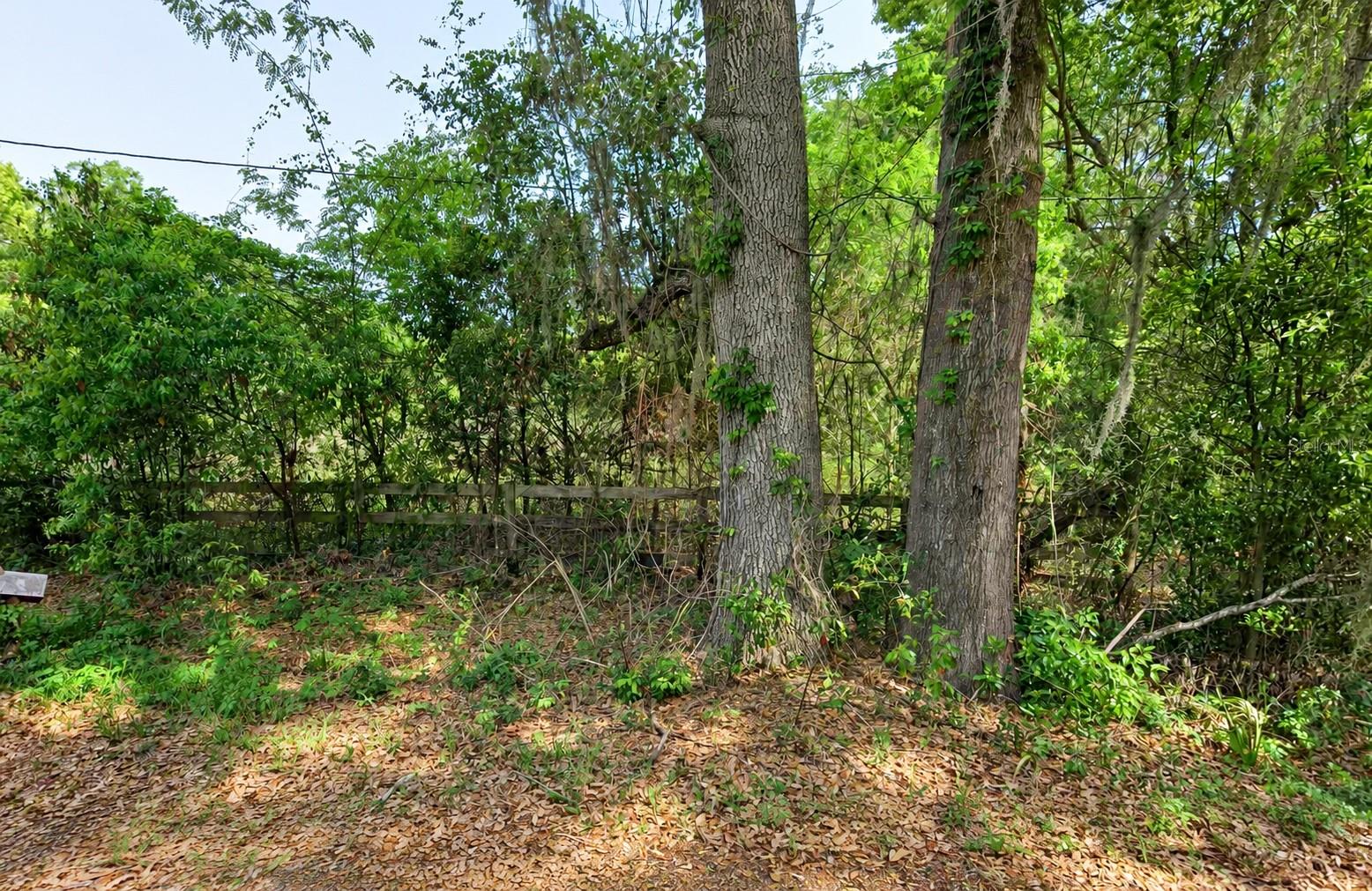 NE 175TH STREET, Citra, FL 32113