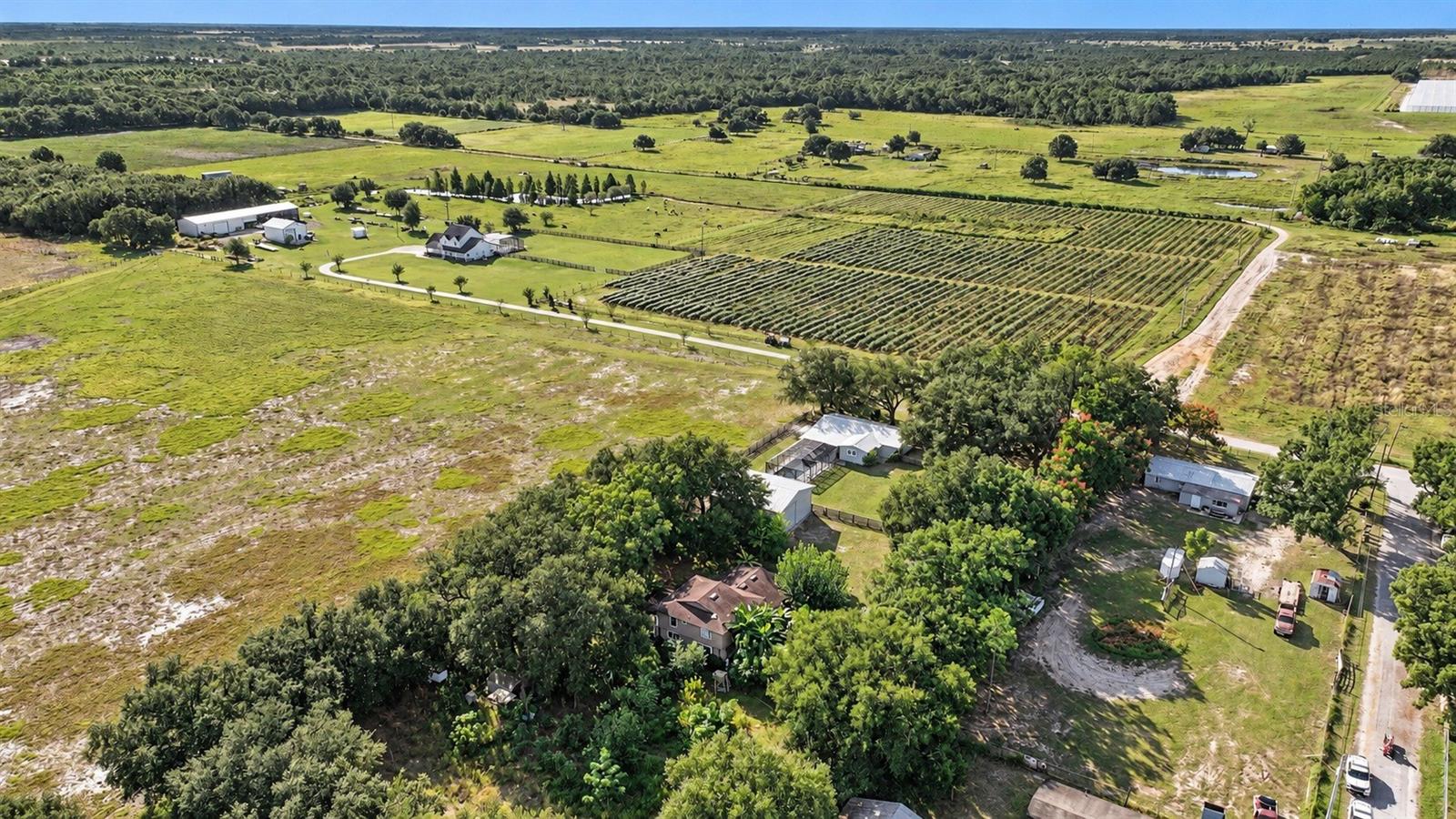 9585 SHRECK ROAD, Bartow, FL 33830