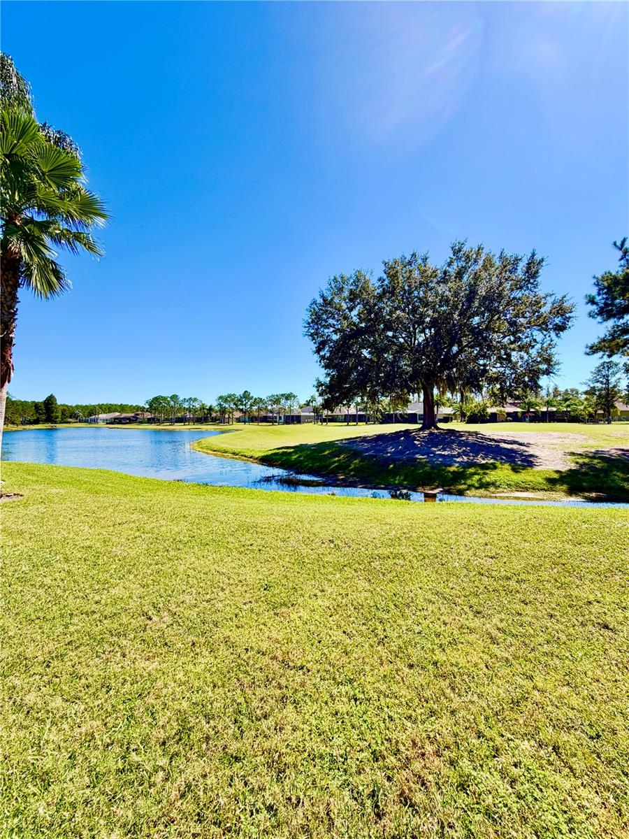 23824 PLANTATION PALMS BOULEVARD, Land O Lakes, FL 34639