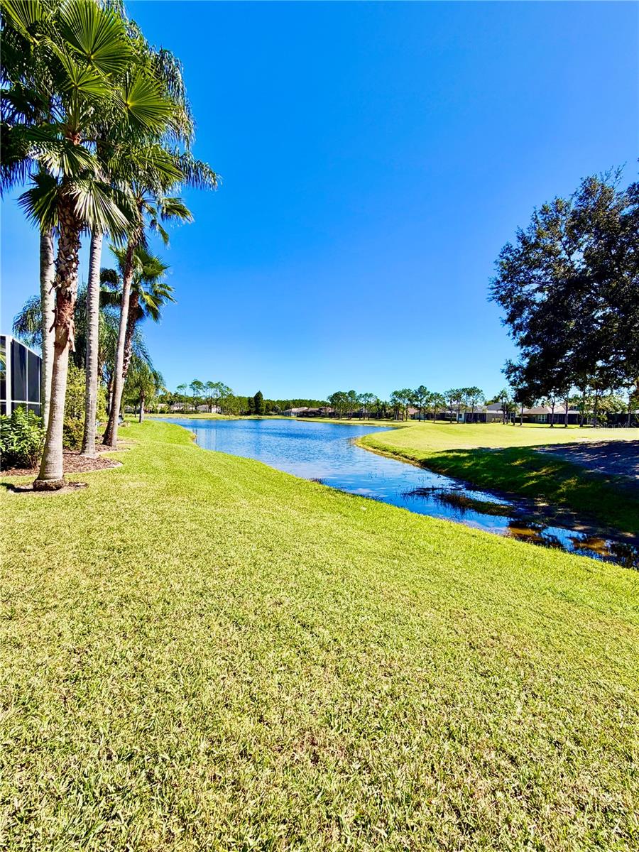 23824 PLANTATION PALMS BOULEVARD, Land O Lakes, FL 34639