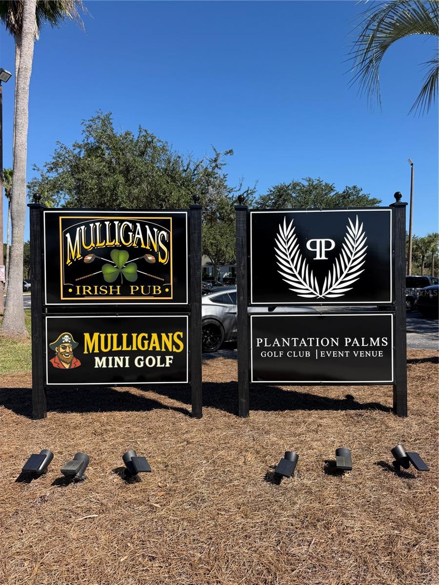 23824 PLANTATION PALMS BOULEVARD, Land O Lakes, FL 34639