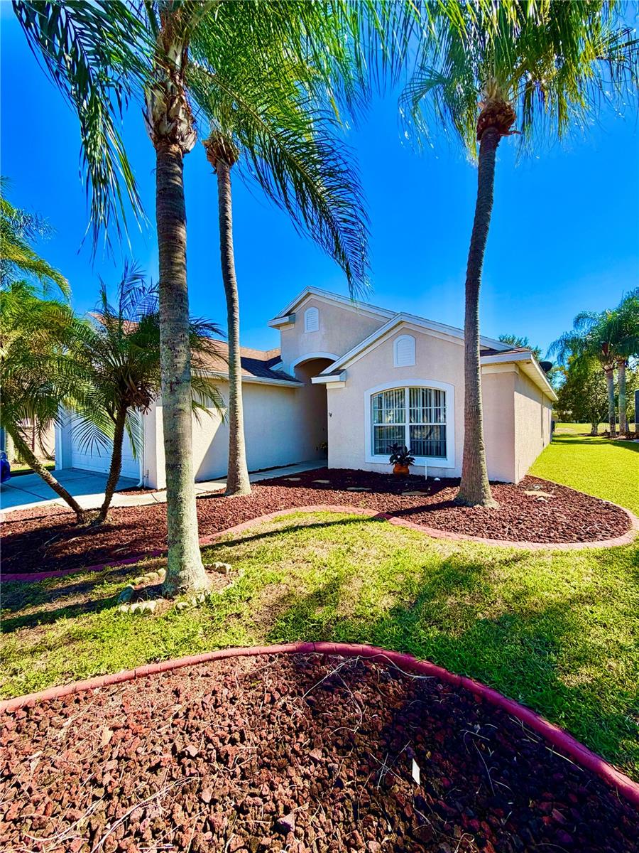 23824 PLANTATION PALMS BOULEVARD, Land O Lakes, FL 34639