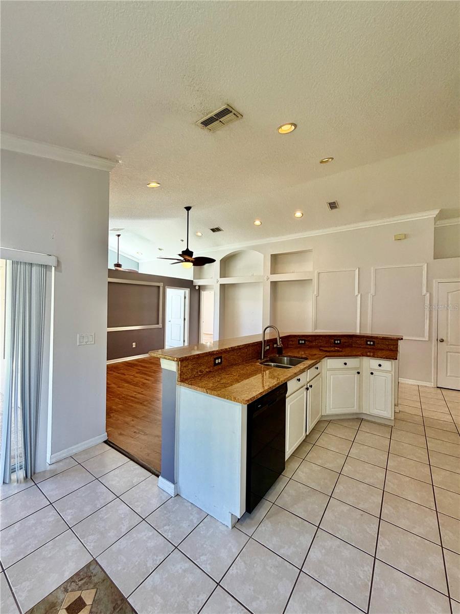 23824 PLANTATION PALMS BOULEVARD, Land O Lakes, FL 34639