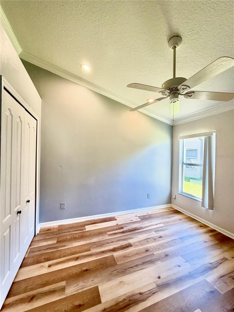 23824 PLANTATION PALMS BOULEVARD, Land O Lakes, FL 34639