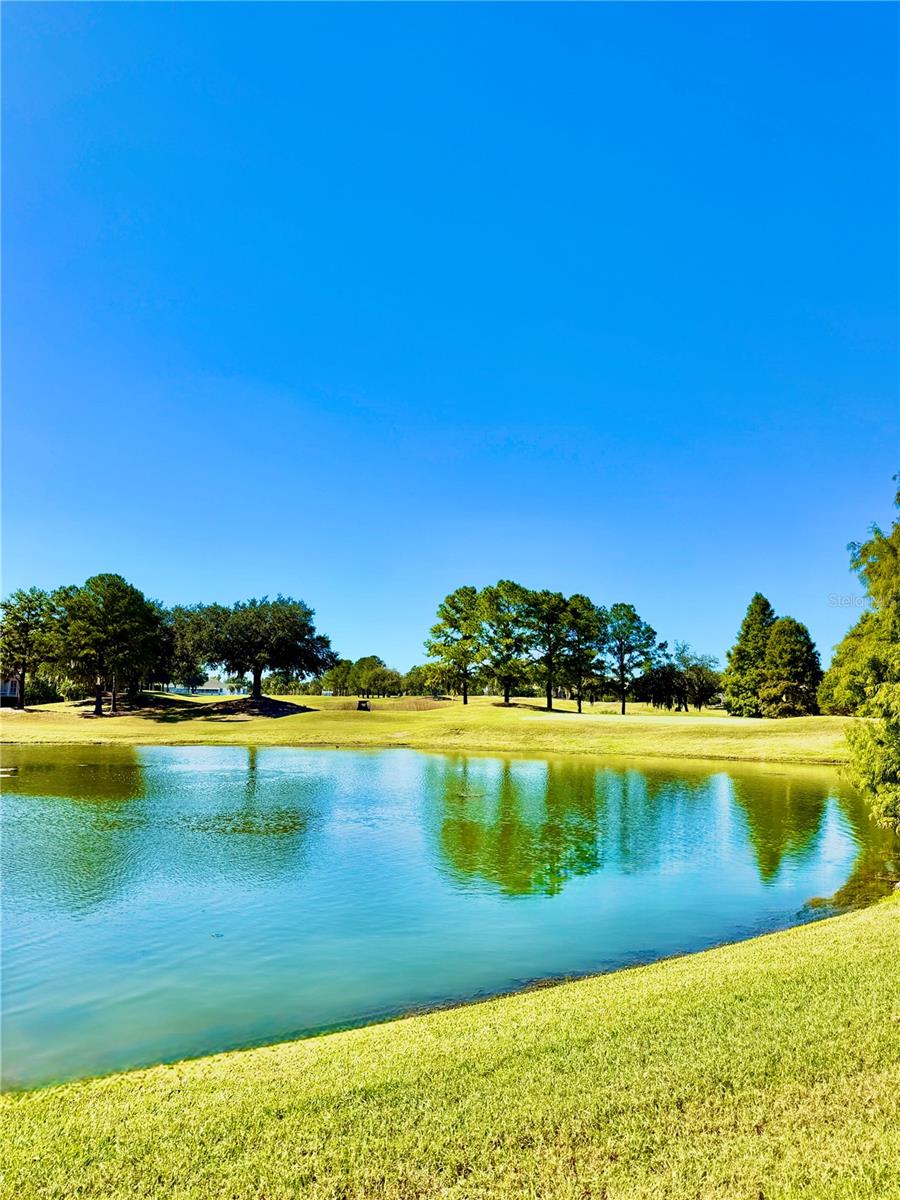 23824 PLANTATION PALMS BOULEVARD, Land O Lakes, FL 34639