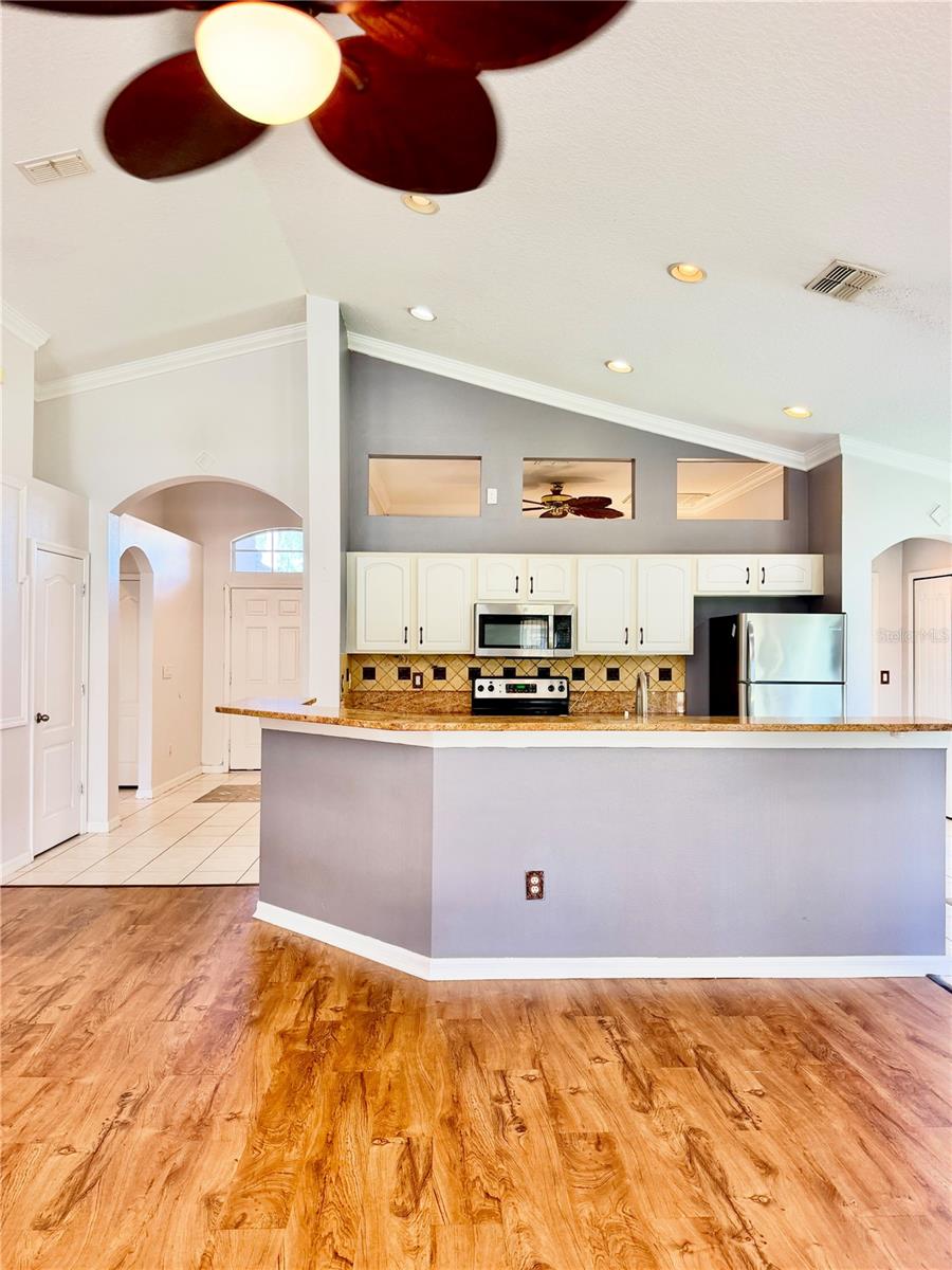 23824 PLANTATION PALMS BOULEVARD, Land O Lakes, FL 34639