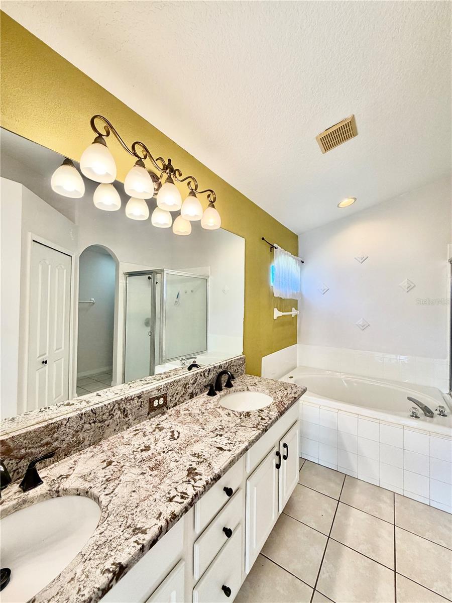 23824 PLANTATION PALMS BOULEVARD, Land O Lakes, FL 34639