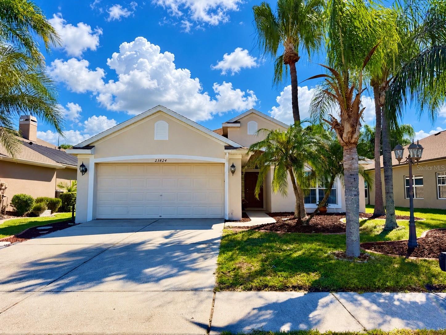 23824 PLANTATION PALMS BOULEVARD, Land O Lakes, FL 34639