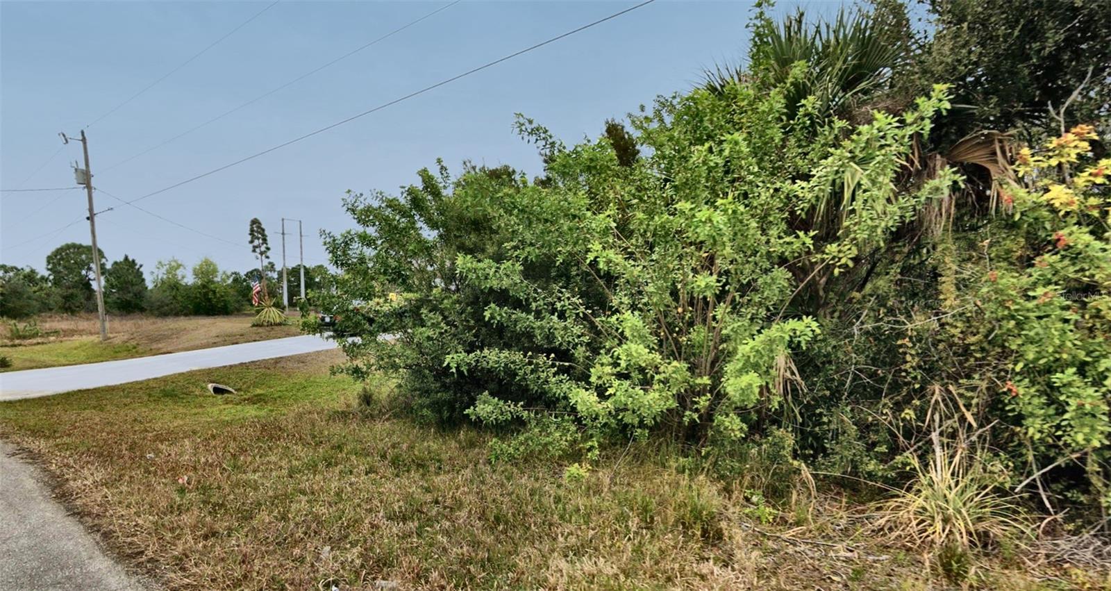 1217 BELGRAVE STREET, Fort Myers, FL 33913