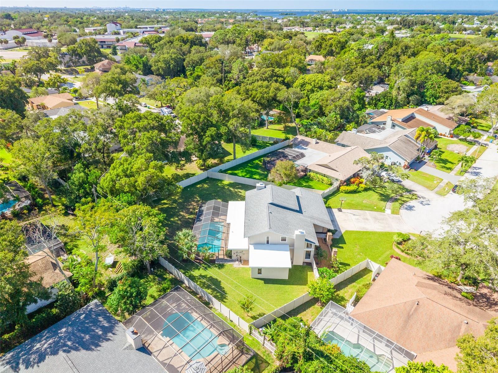 1496 TREETOP DRIVE, Palm Harbor, FL 34683