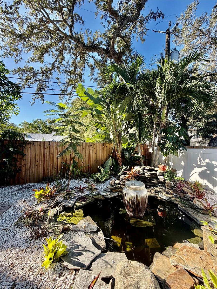 Koi Pond