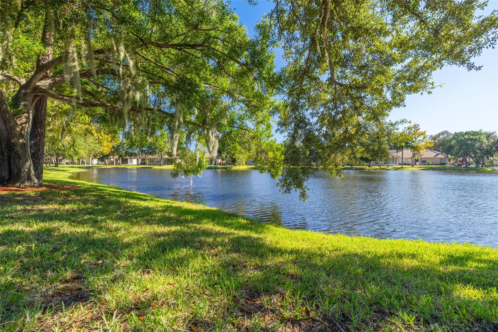 3755 DARSTON STREET, Palm Harbor, FL 34685
