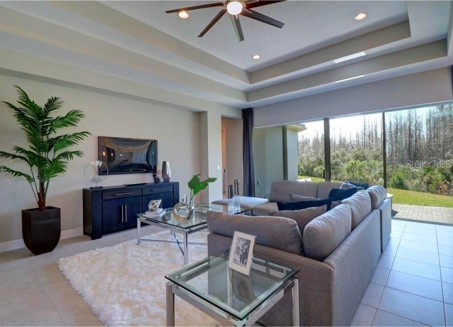 30582 IVY FORGE COURT, Wesley Chapel, FL 33543 30582 IVY FORGE COURT, Wesley Chapel, FL 33543