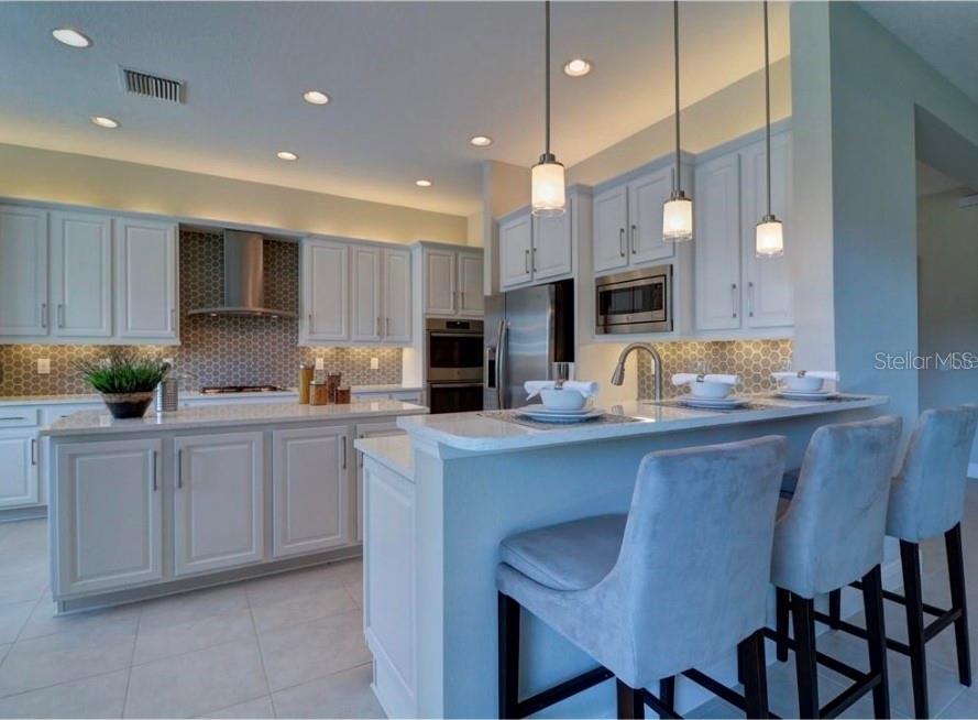 30582 IVY FORGE COURT, Wesley Chapel, FL 33543