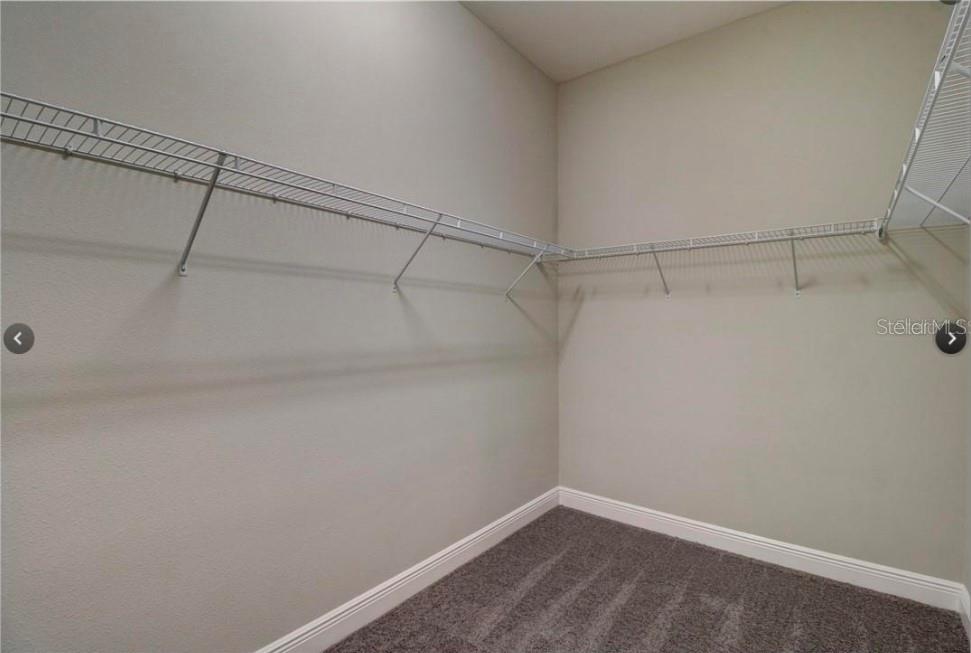 30582 IVY FORGE COURT, Wesley Chapel, FL 33543